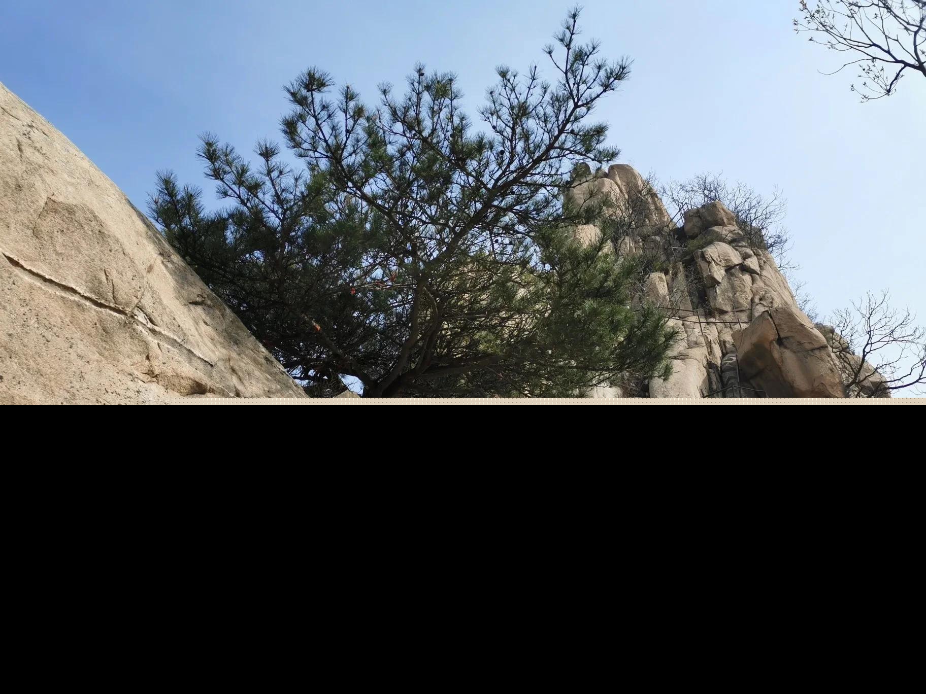 山东aaaaa旅游景点大全（山东省5A旅游景区排行榜）-第2张图片