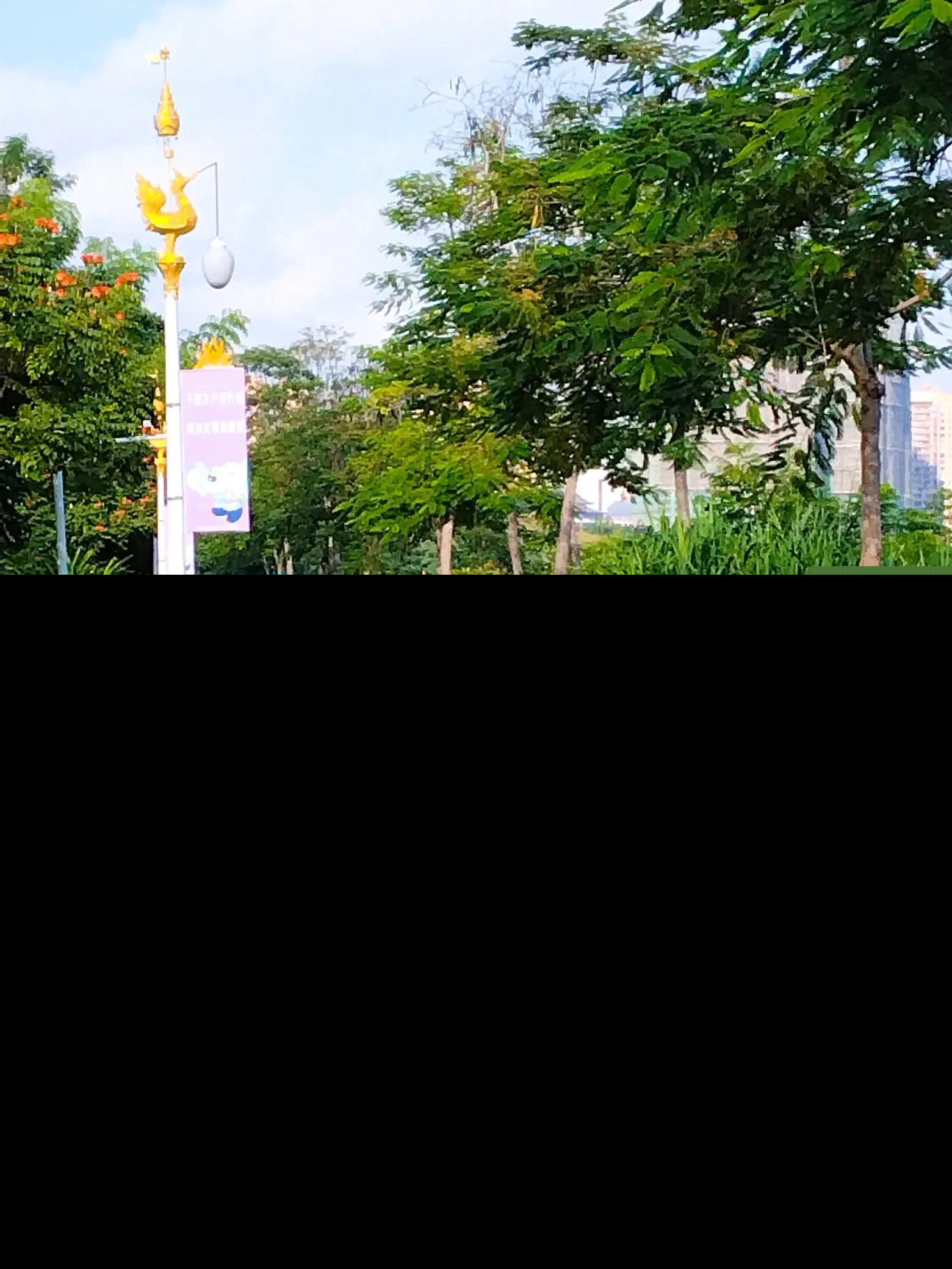 景洪市旅游十大景点大全（云南景洪市旅游有名的景点排名）-第9张图片