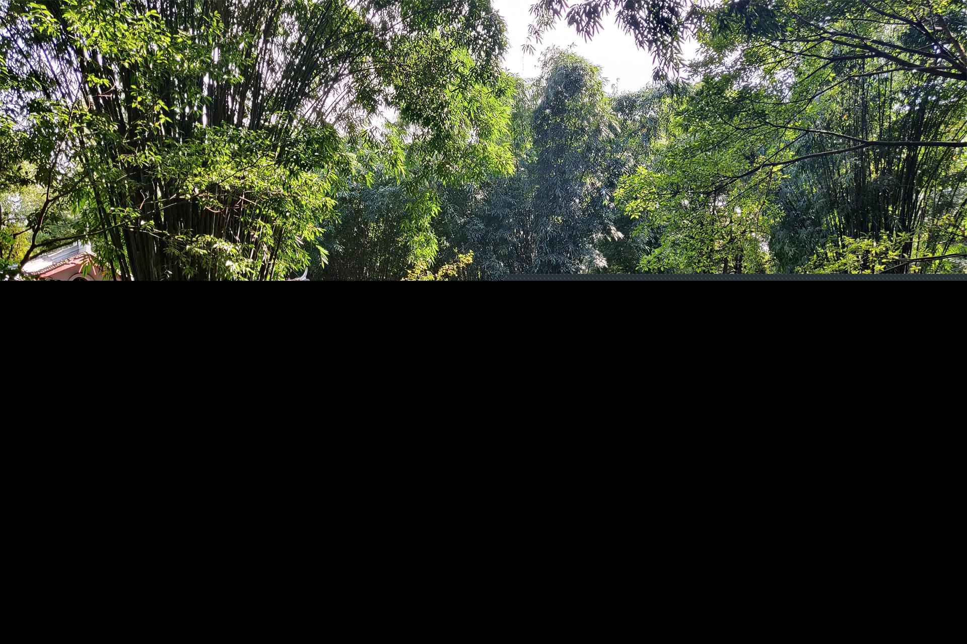 四川成都景点排名前十（成都最值得去的十大旅游景点推荐）-第9张图片