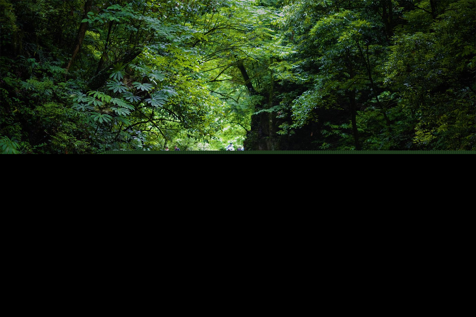 四川成都景点排名前十（成都最值得去的十大旅游景点推荐）-第10张图片