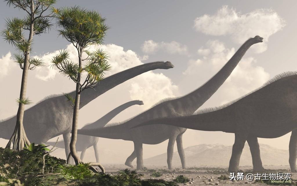 脖子长的恐龙叫什么（世界上到底哪种恐龙的脖子最长）-第14张图片