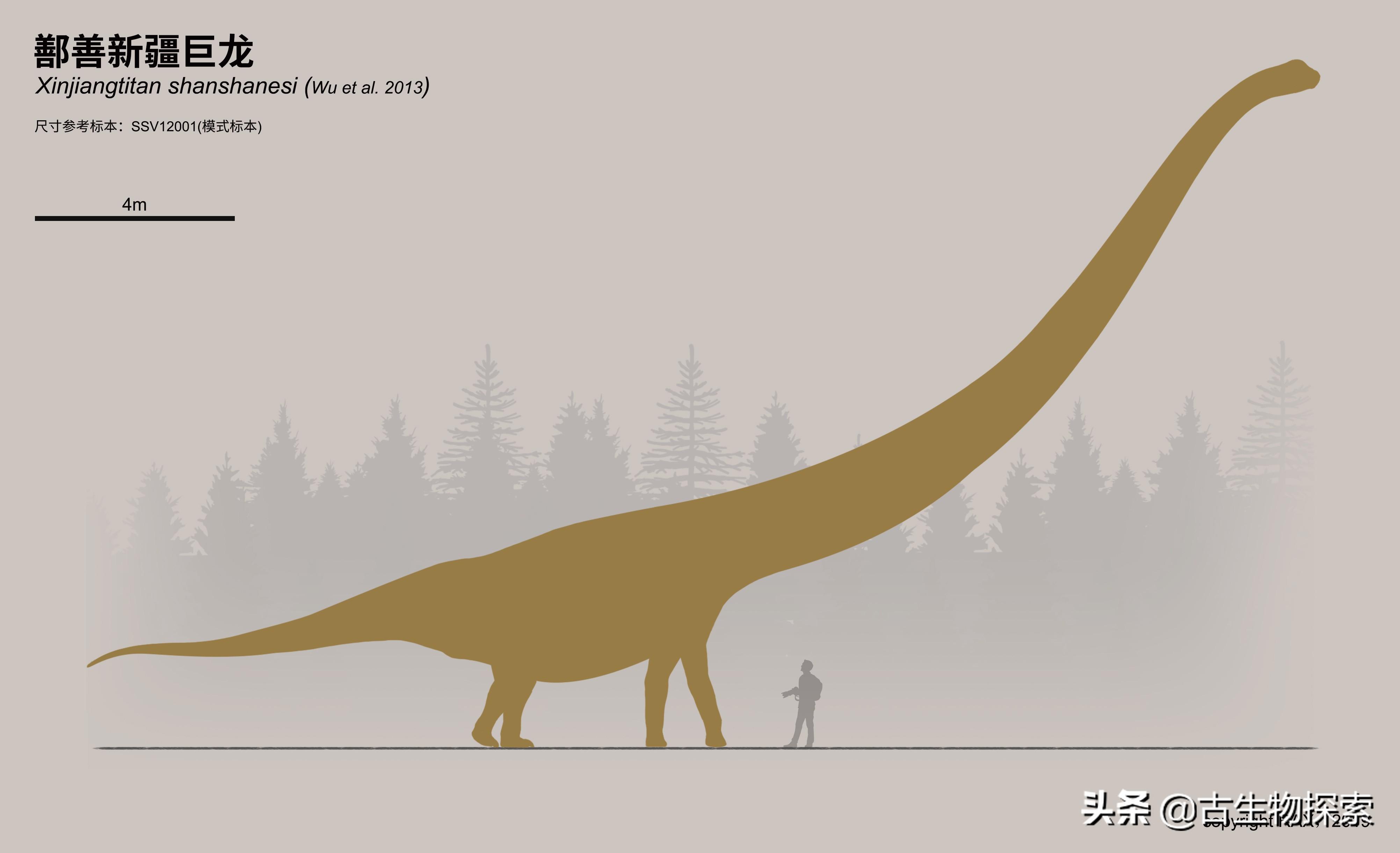 脖子长的恐龙叫什么（世界上到底哪种恐龙的脖子最长）-第15张图片