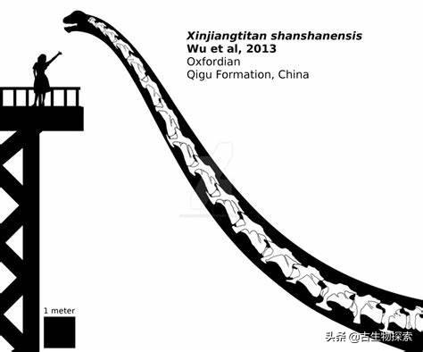 脖子长的恐龙叫什么（世界上到底哪种恐龙的脖子最长）-第16张图片