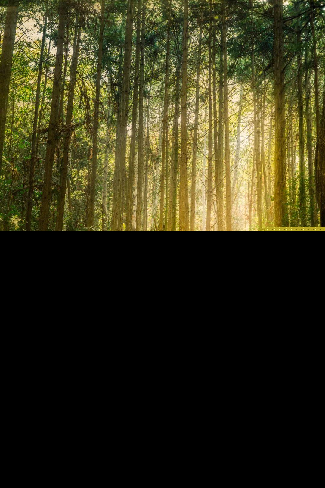 武汉附近有什么好玩的景点（武汉小众但值得游玩的地方推荐）-第1张图片