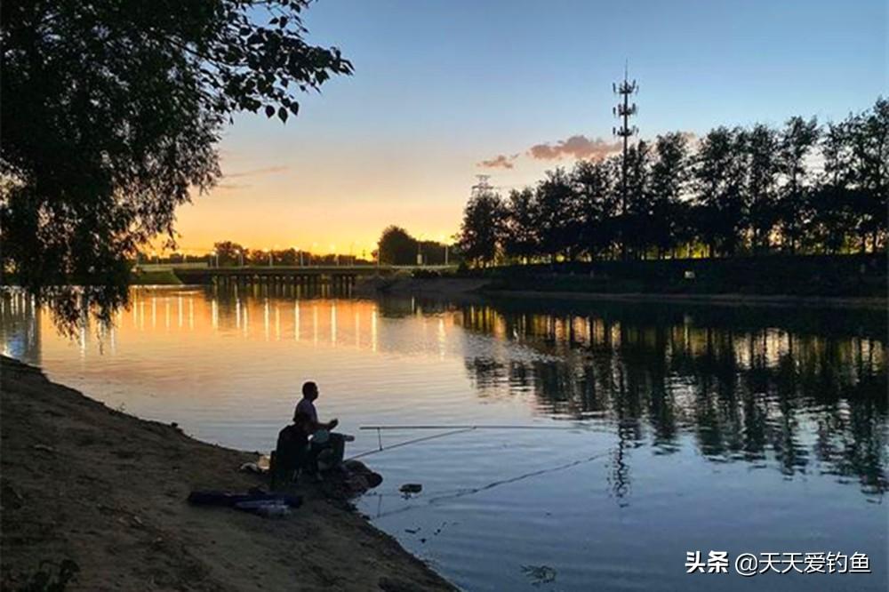 夜钓钓浮还是钓底（夏季夜钓快速上鱼的五个小技巧）-第3张图片