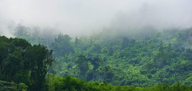 热带雨林探险会遇到什么危险（穿越10大危险需要注意）-第3张图片