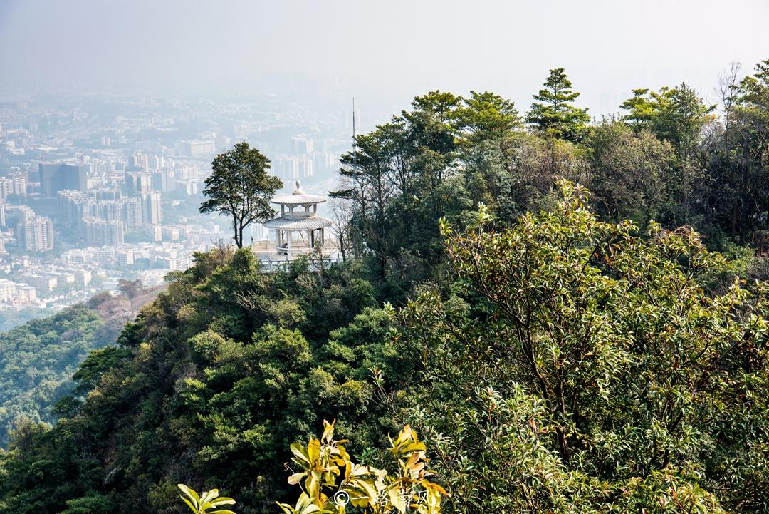 广州市白云山多高（广州市白云山的最高峰简单介绍）-第12张图片