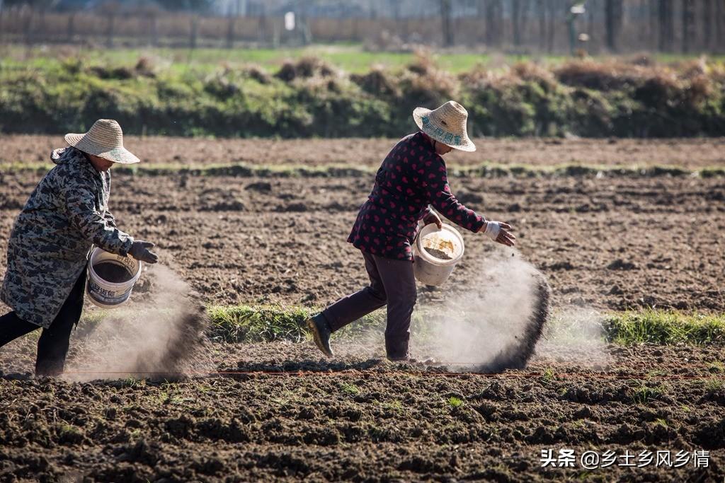 过磷酸钙是什么肥料（过磷酸钙究竟有哪些功效和作用）-第1张图片