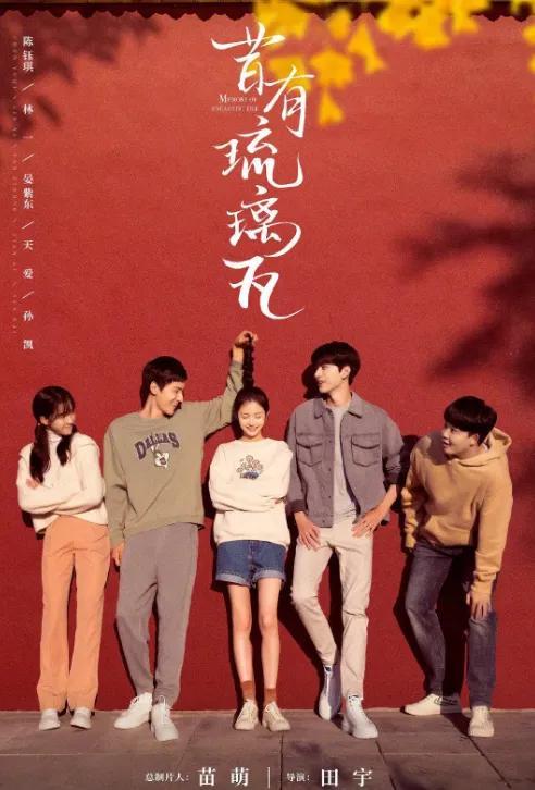 都市情感电视剧排行榜前十名（热播的10部都市情感现代剧）-第10张图片