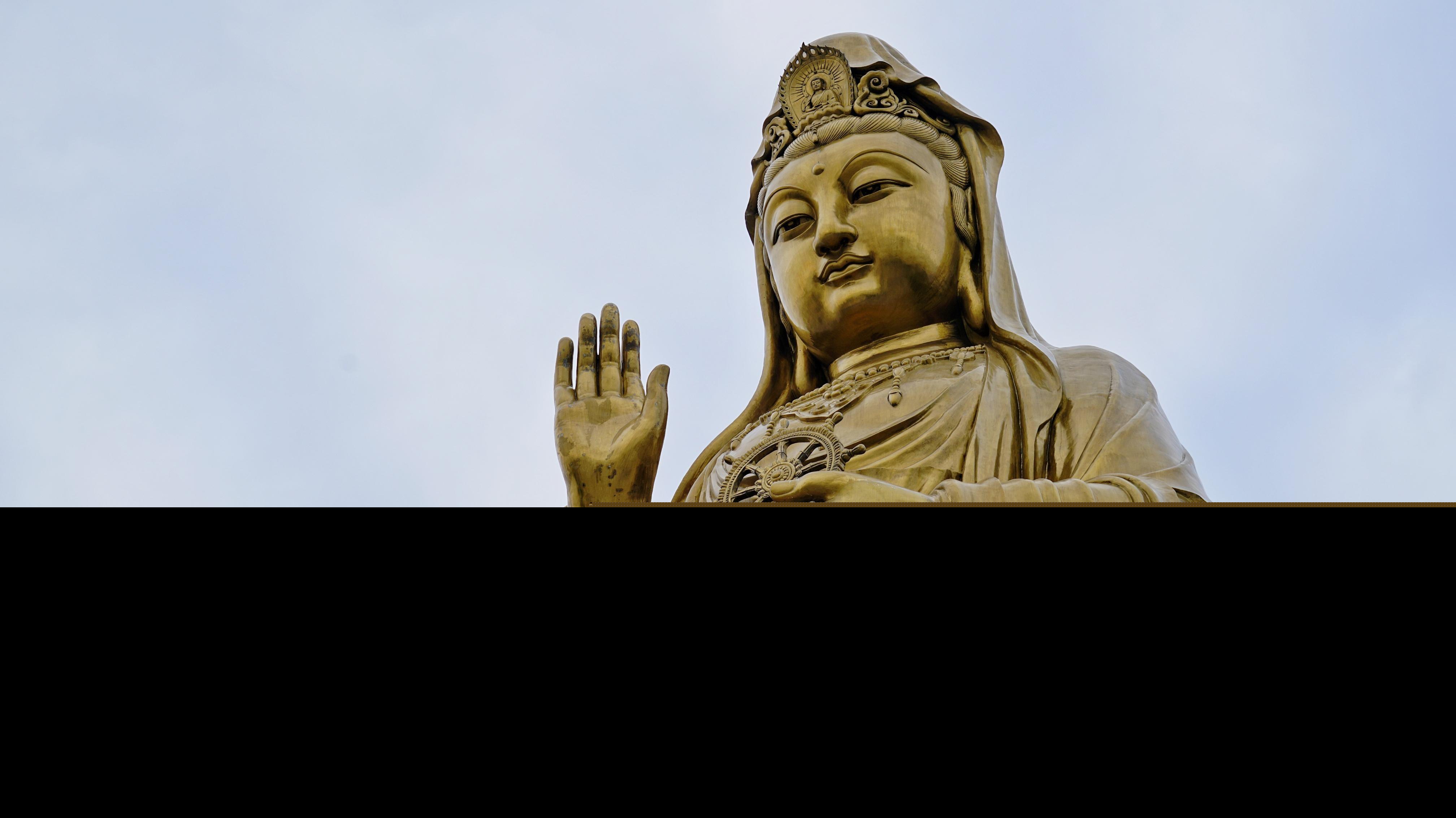 普陀山属于哪个地区哪个省（位于浙江东海的普陀山介绍）-第6张图片
