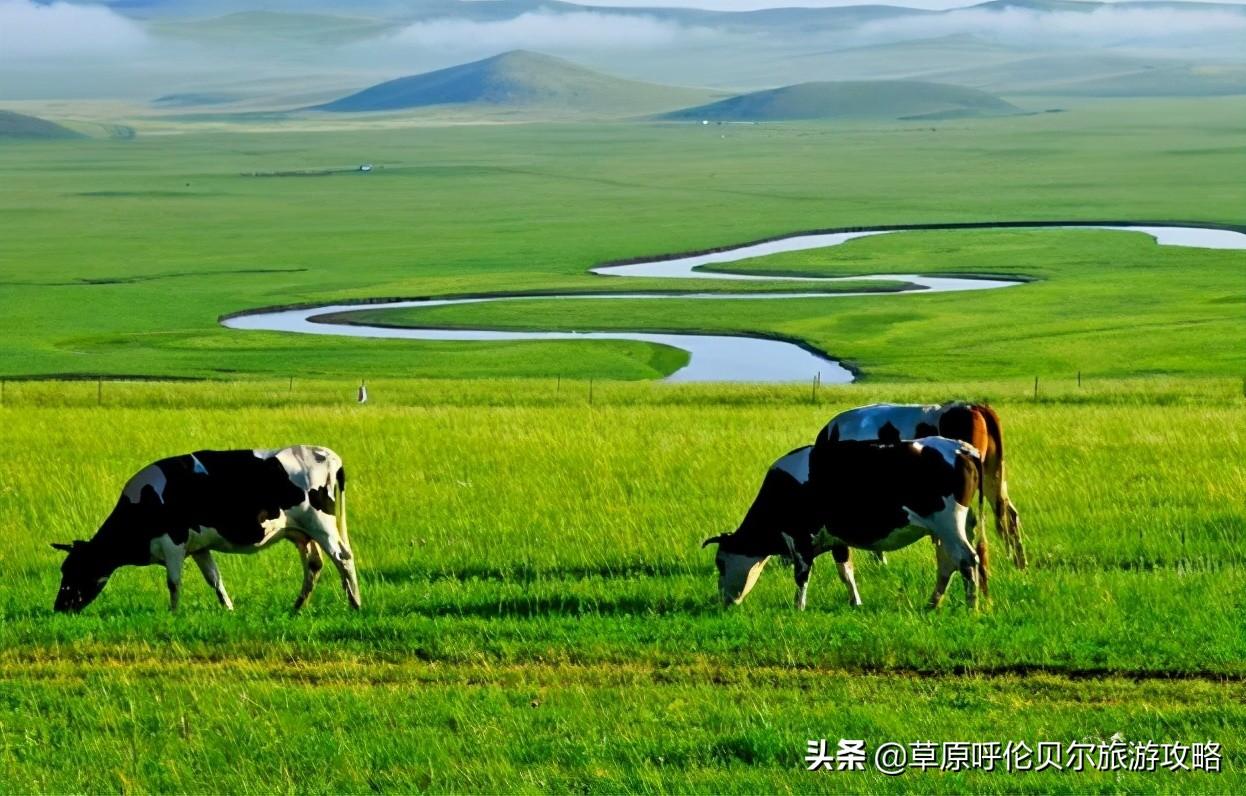 五月份去草原好吗（五月份去呼伦贝尔草原旅游注意事项）-第1张图片