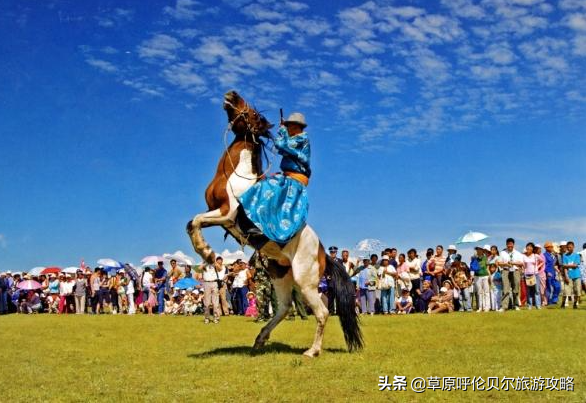 五月份去草原好吗（五月份去呼伦贝尔草原旅游注意事项）-第4张图片