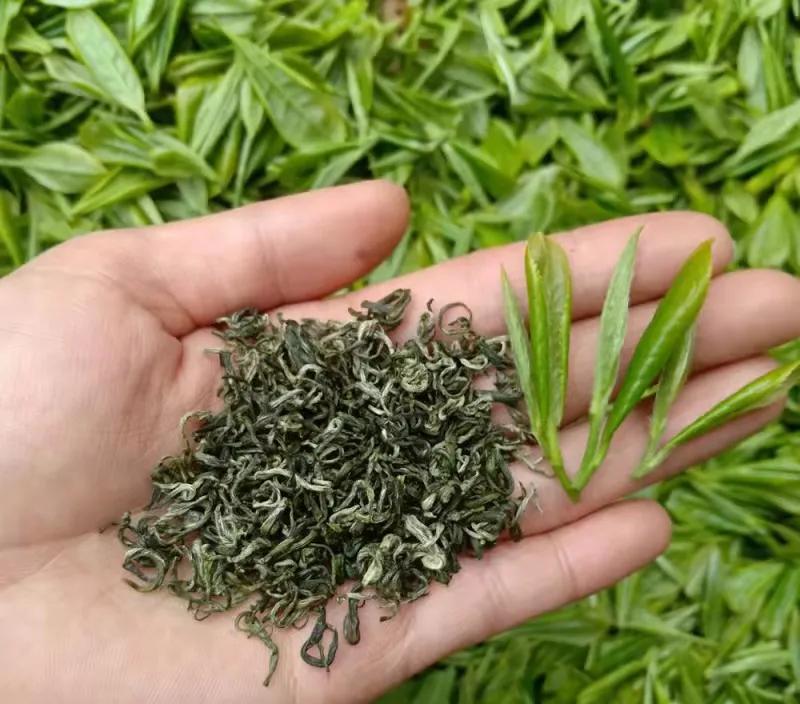 中国最贵茶叶排名（盘点全国价格最贵的十大天价茶叶）-第30张图片