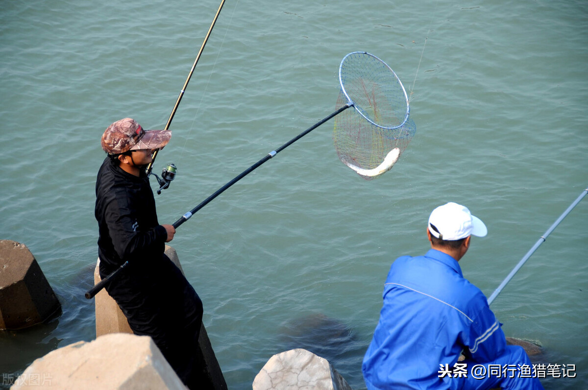 海竿怎么用有哪些技巧（钓鱼时的海竿应该如何安装）-第6张图片