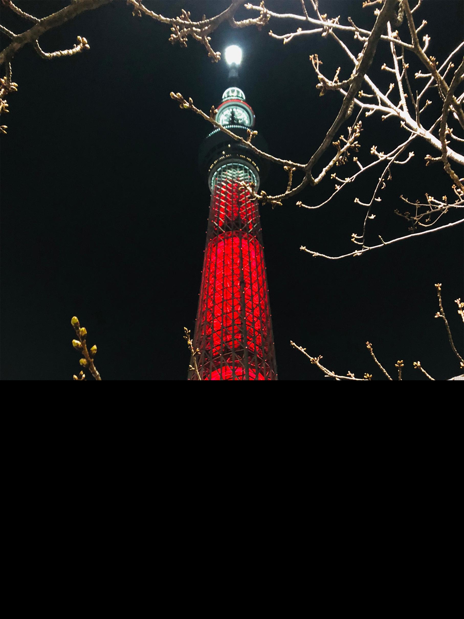 东京最高的建筑物（日本东京的第一高楼是东京塔吗）-第2张图片