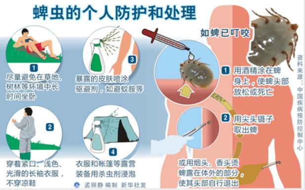 蜱虫长什么样子图片（吸血的蜱虫究竟会有多么可怕）-第12张图片