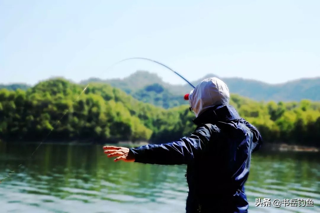 钓鲢鳙什么时候是最佳时间（几月份钓鲢鳙是最合适的时间）-第3张图片