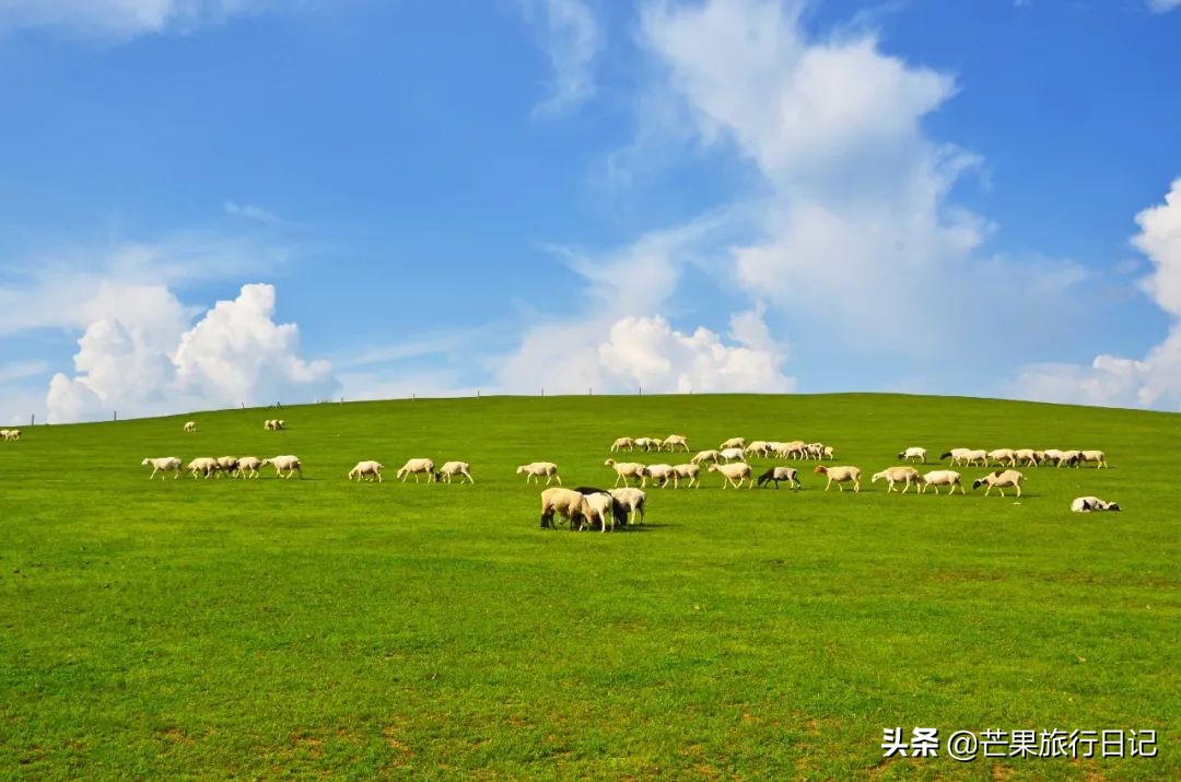 内蒙古在中国的什么位置（内蒙古的地形地貌及自然景观）-第12张图片
