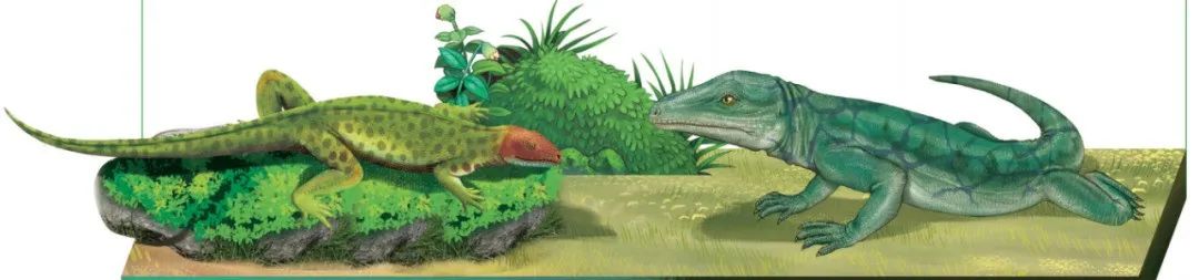 恐龙是怎么诞生出来的（恐龙是怎么出现的为什么出现）-第10张图片