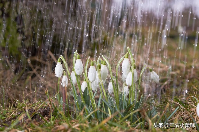 2022年春分节气的特点（二十四节气春分的名称含义）-第4张图片