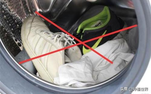 皮鞋可以用水洗吗（用水或洗衣机清洗皮鞋有什么危害）-第2张图片