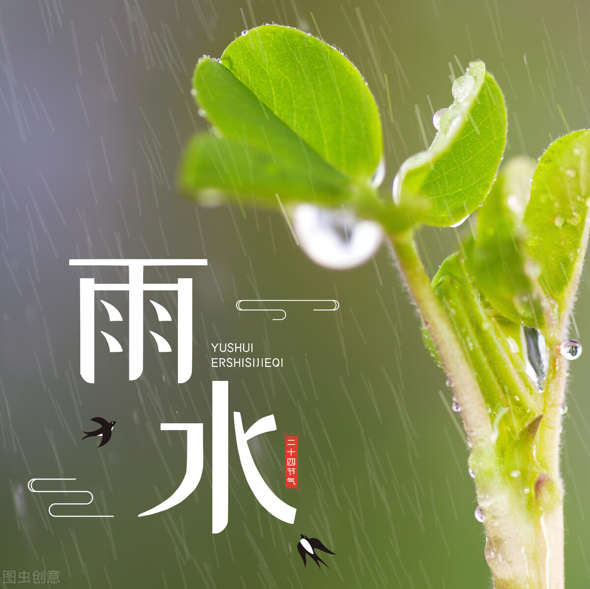 雨水节气养生原则：护肝阳，助脾运。避免湿冷、油腻、心燥-第1张图片