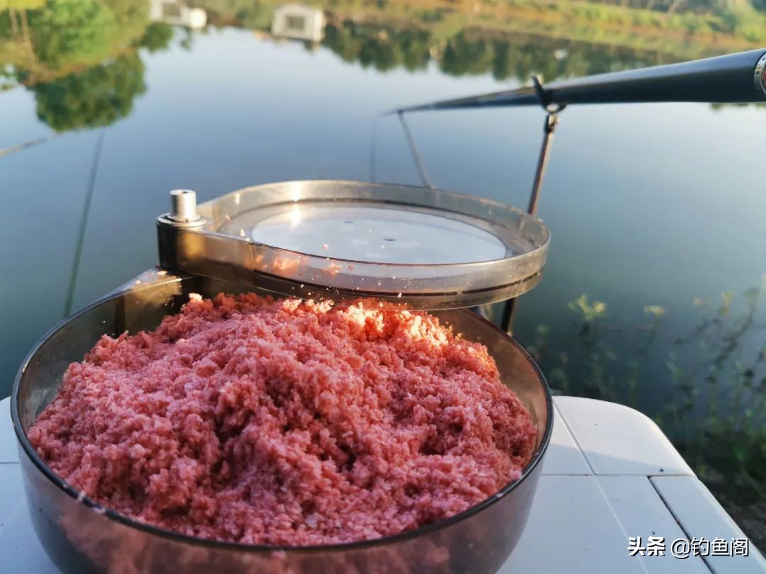 新手鲢鳙怎么钓比较好（什么天气和时间适合钓鲢鳙呢）-第7张图片