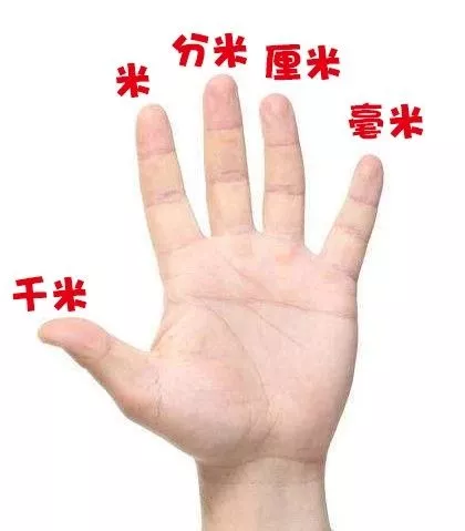 一公顷多少平方米(一公顷等于多少平方米像这种公式还有什么)-第2张图片 一公顷多少平方米(一公顷等于多少平方米像这种公式还有什么)-第2张图片