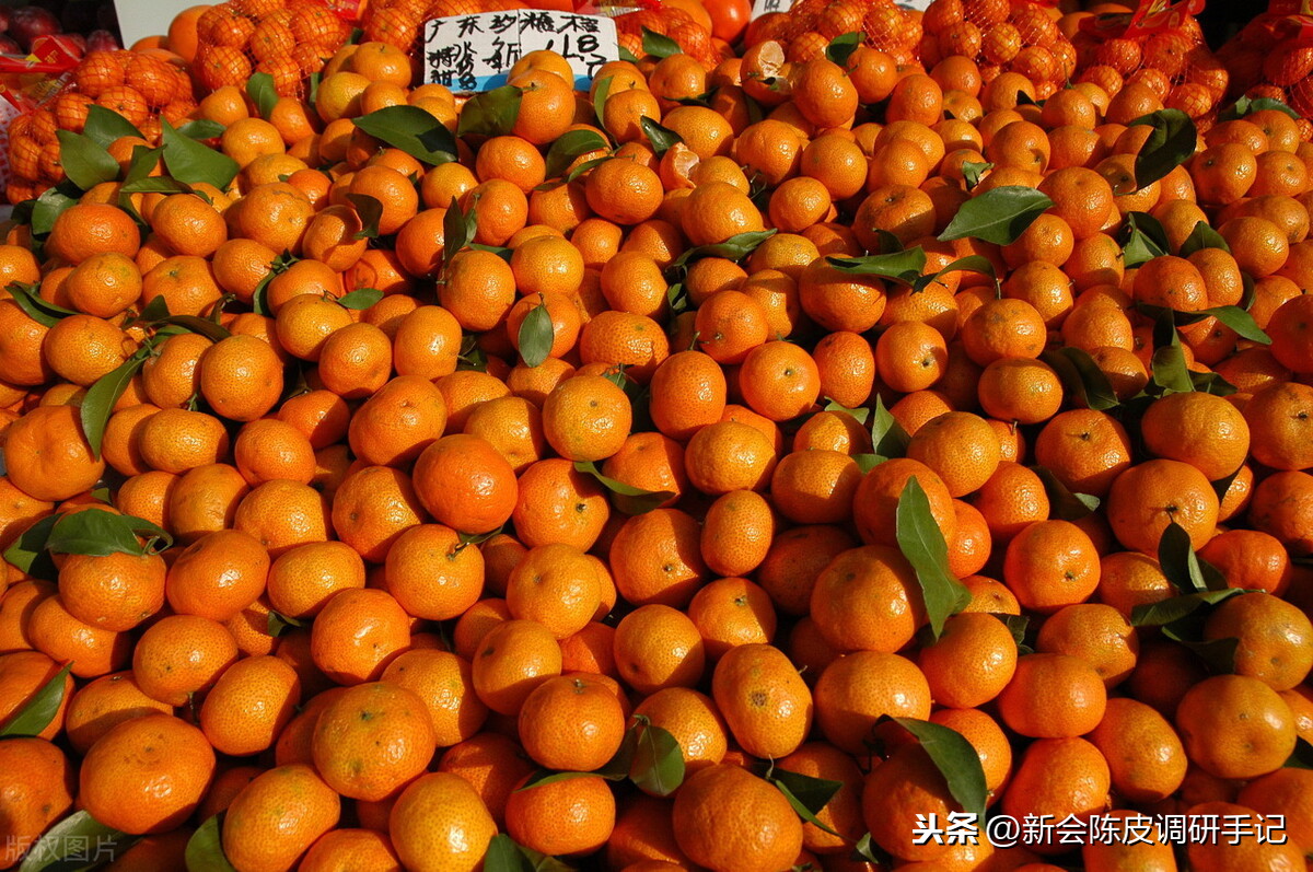 橘子与桔子有何不同怎么区分-（普通桔子皮能做陈皮吗）-第4张图片