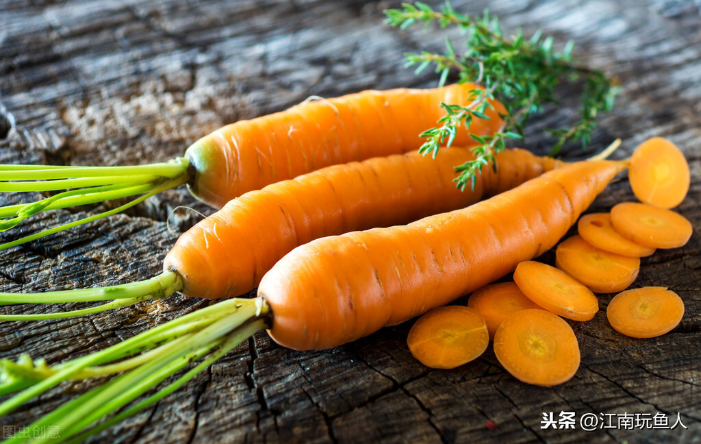 自制鱼食怎么做（做法简单且营养均衡的鱼食制作步骤）-第6张图片