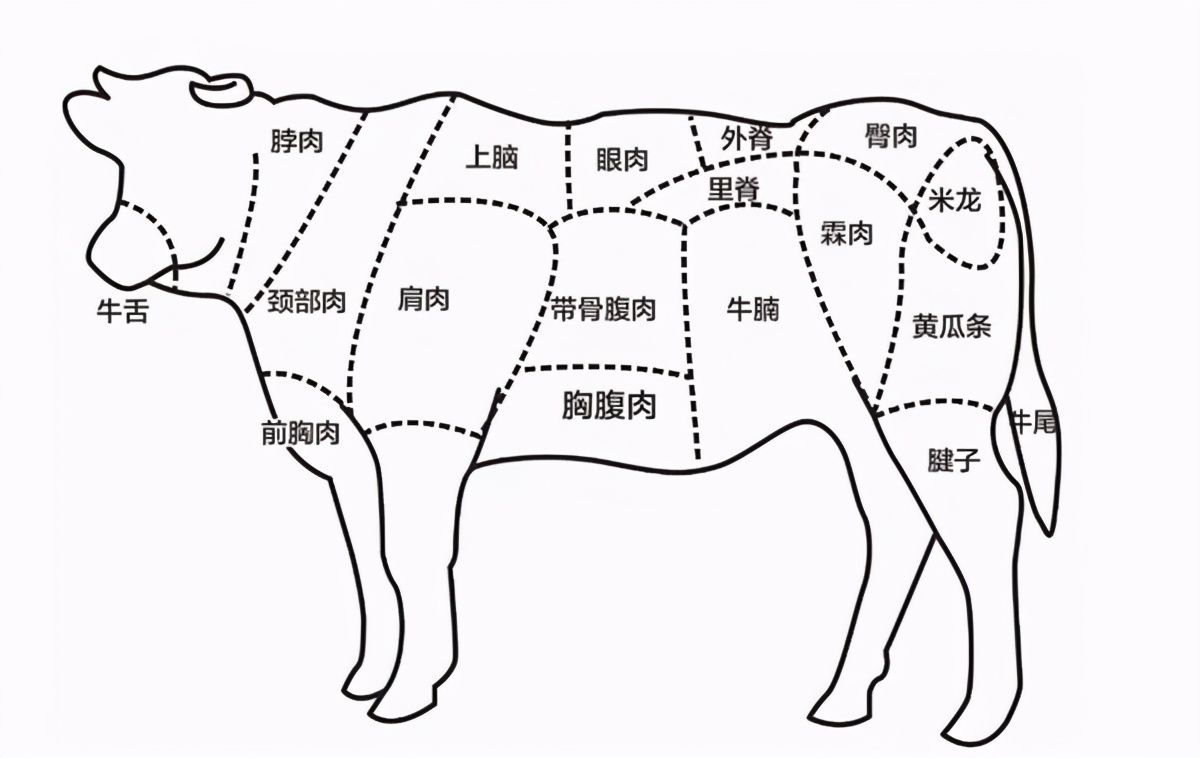肥牛是什么肉做的？它到底是牛的哪块肉呢？-第5张图片