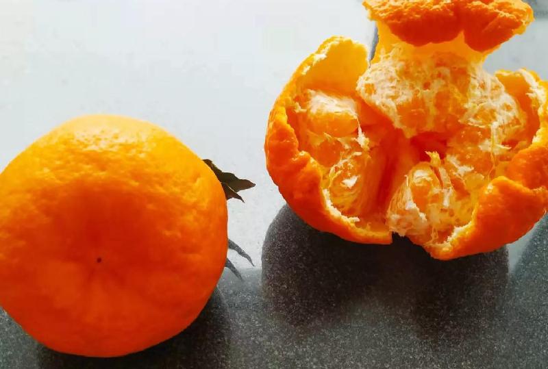 丑橘和粑粑柑哪个贵（丑橘粑粑柑哪个营养价值高更好吃）-第11张图片