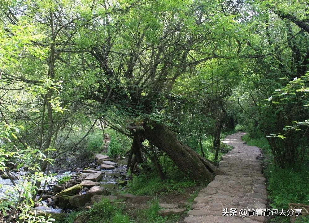 宁夏旅游必去十大景点排行（去宁夏旅游有哪些景点值得一去）-第8张图片