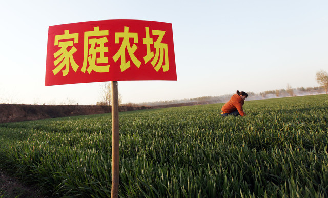 家庭农场营业执照办理流程（开办小型农场需要什么条件）-第2张图片