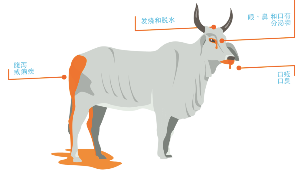人类消灭了哪种病毒(人类消灭了几种病毒)-第3张图片 人类消灭了哪种病毒(人类消灭了几种病毒)-第3张图片