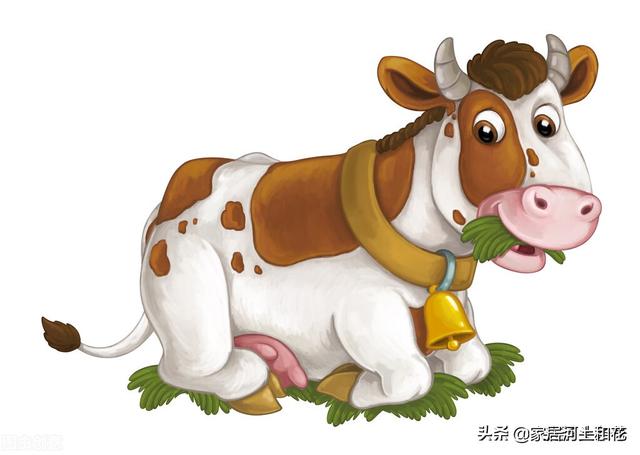 美国人养牛在牛身上开洞是真的吗（牛场在牛身上开一个洞）-第12张图片