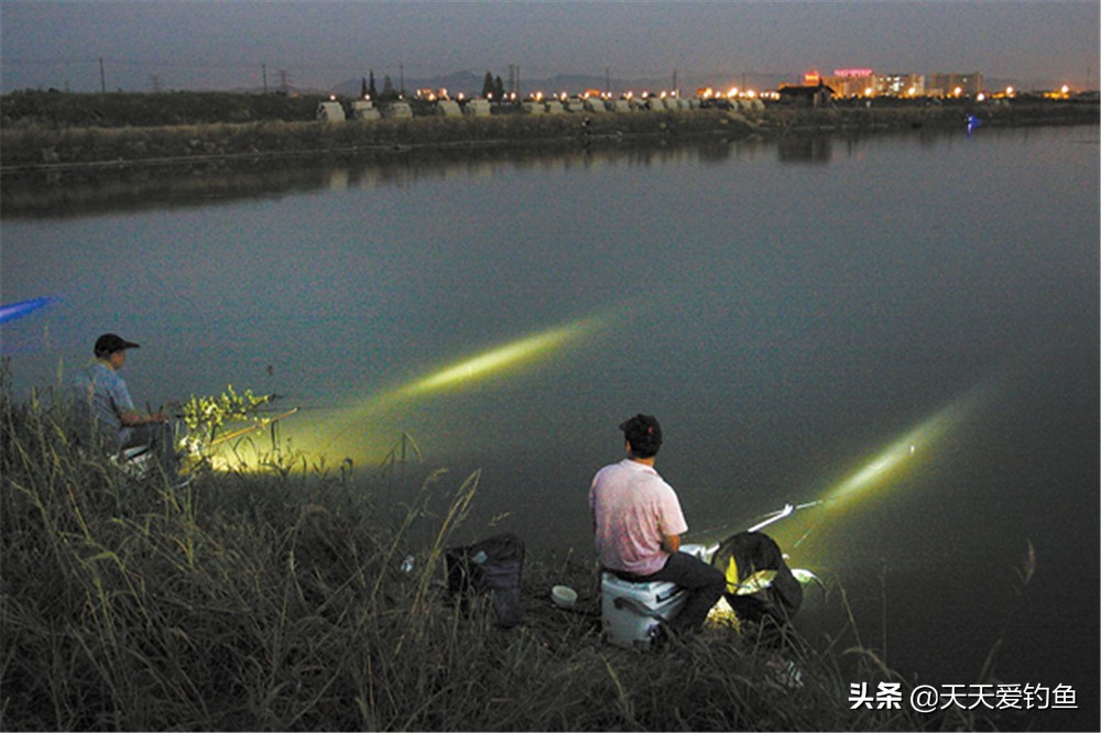 夏天夜钓深水还是浅水（钓夜鱼钓深还是浅夜钓的技巧）-第5张图片