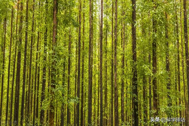 山上为何有源源不断的泉水（有山的地方一定有水吗）-第9张图片