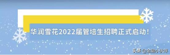 银行管培生是做什么的（为什么公司喜欢设立管培生制度）-第1张图片