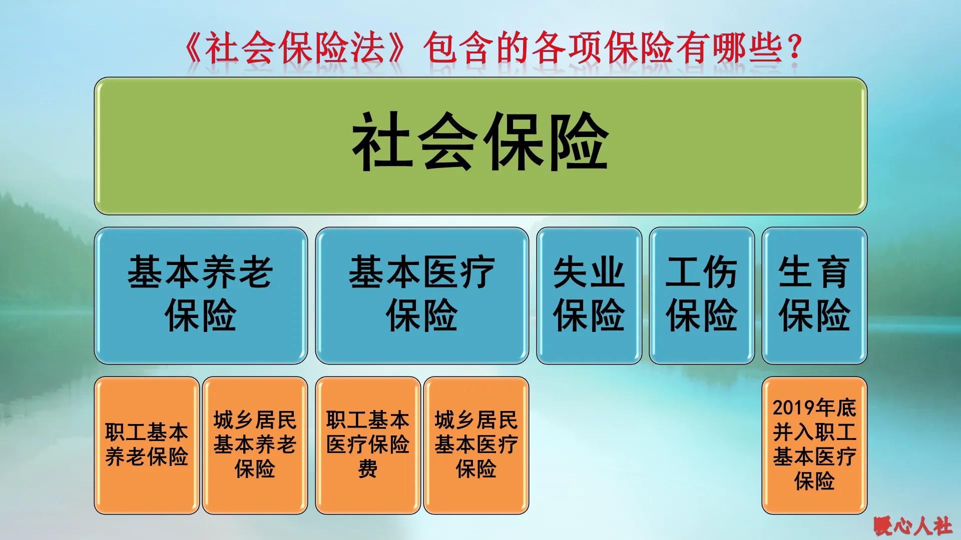 社保指的是什么保险（社保到底包括哪些内容及其作用）-第1张图片