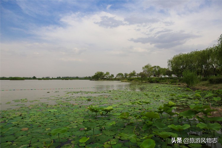 塞上江南指的是什么地方（宁夏都有哪些著名的湖泊）-第4张图片