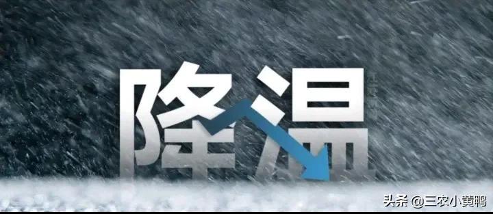 2022年春分节气的特点（二十四节气春分的名称含义）-第5张图片