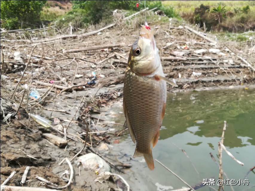清明节前后钓鱼禁忌和注意事项（清明前后钓鱼的最佳时间）-第3张图片