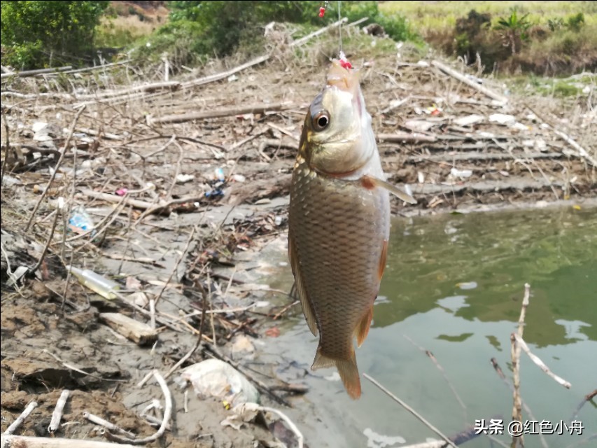 清明节前后钓鱼禁忌和注意事项（清明前后钓鱼的最佳时间）-第3张图片