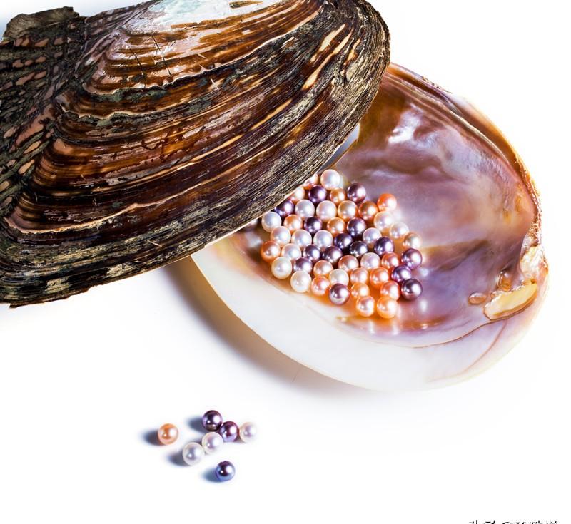 日本珍珠akoya什么颜色最好（akoya最大的有多少尺寸）-第9张图片