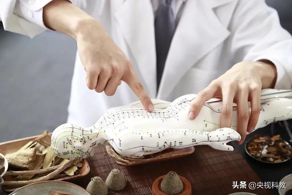 望闻问切指的是什么意思（简单解释中医望闻问切摸脉）-第6张图片