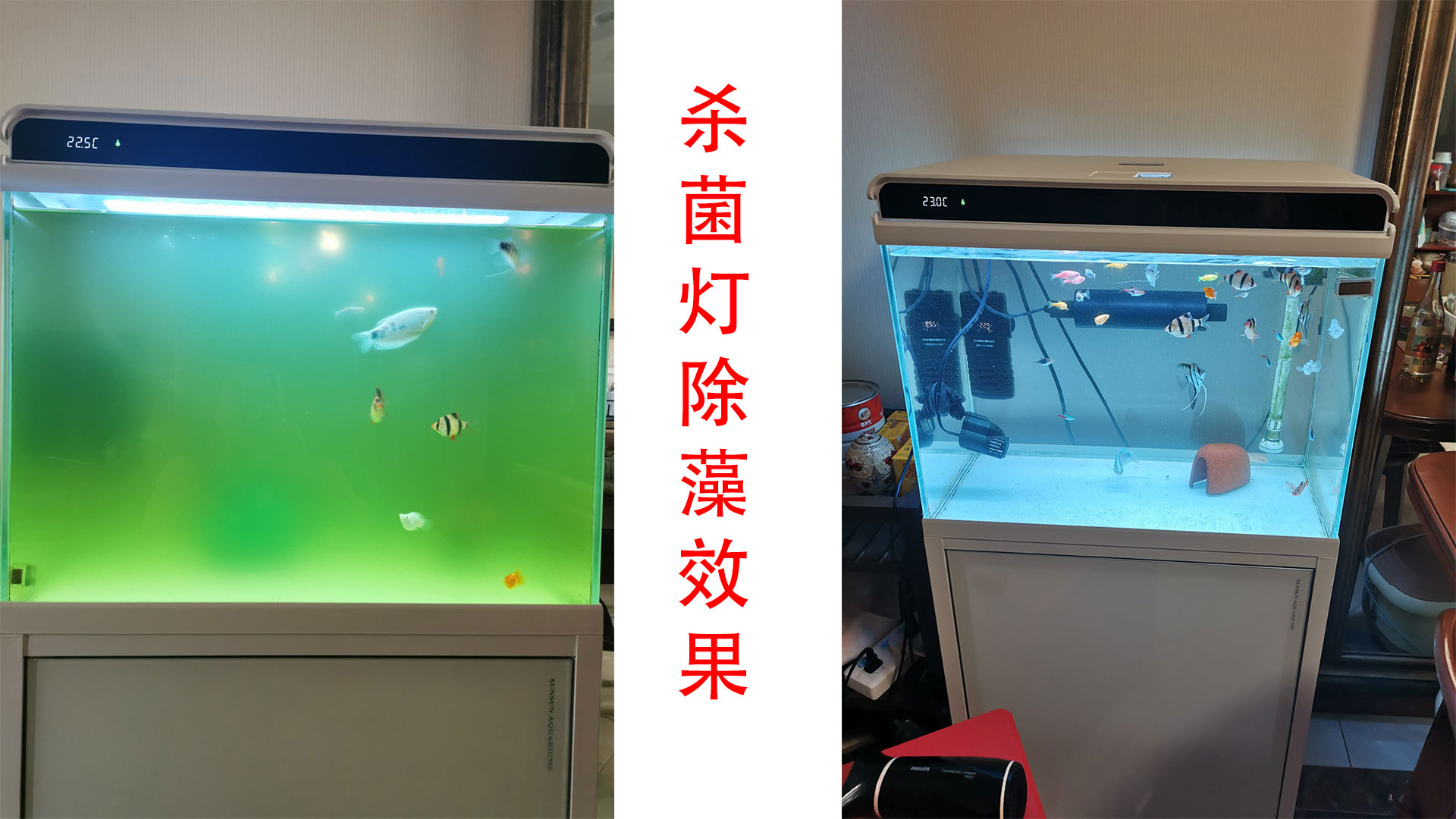 鱼缸杀菌灯正确使用方法（如何正确使用鱼缸杀菌灯）-第9张图片