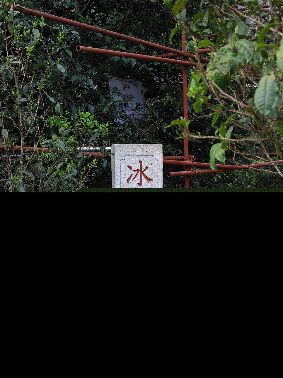 普洱茶十大知名品牌有哪些（最好喝的普洱茶品种推荐）-第3张图片