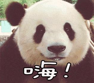 大熊猫生活在什么地方（为什么野生大熊猫只在中国有）-第6张图片