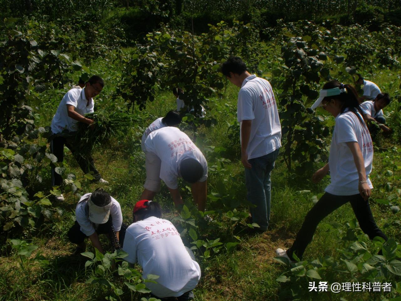 实践一下是什么意思，小学生实践活动有哪些-第4张图片